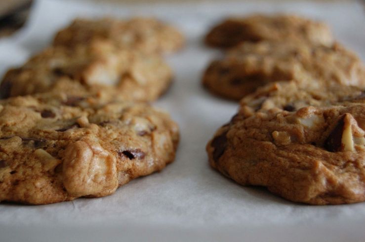 1102406_787394647945103_2428310603511581447_o